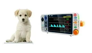  Дешевый 7-дюймовый портативный ветеринарный монитор для пациентов с жизненно важными показателями для лошади / собаки / кошки с одобрением CE Изображение 4 