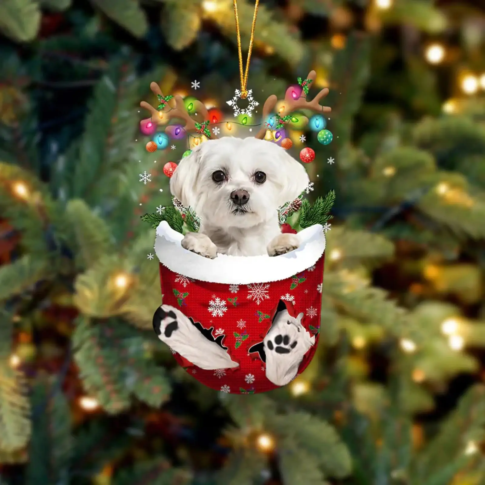 Рождественский кулон Украшения для собак Висячая личность Украшения для вечеринок Рождественская елка Крытый новогодний подарок 2023 Navidad Изображение 2 